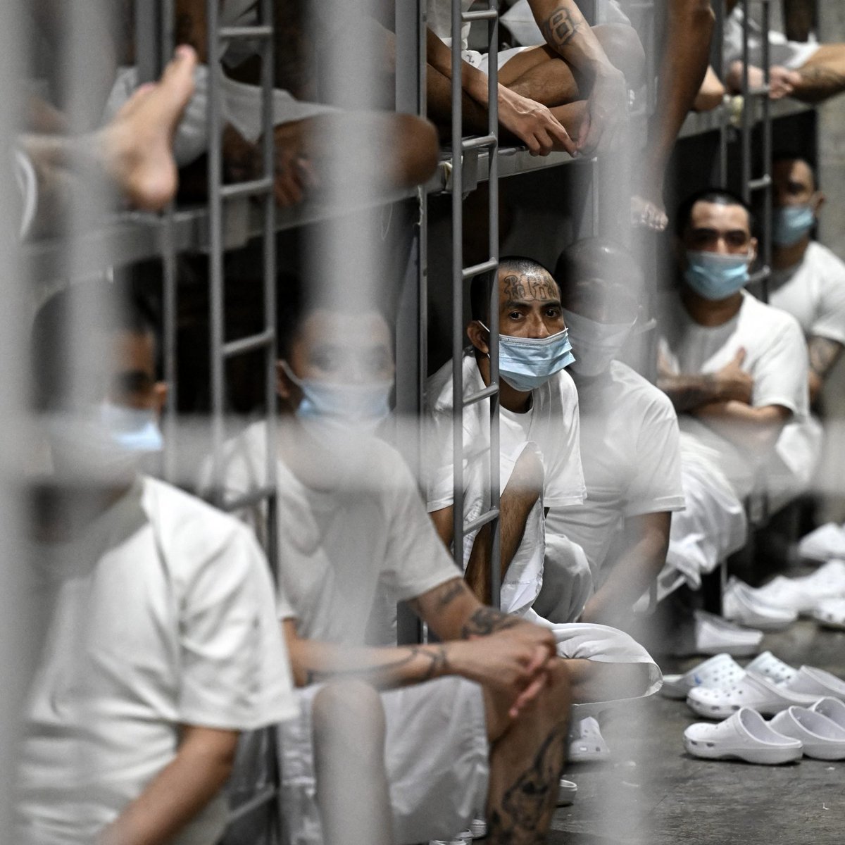 République tweet media