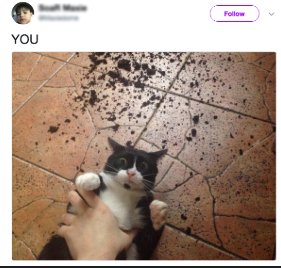 ꧁ঔৣ✞FERRUM FOX✞ঔৣ꧂(COMS/UNDER CONSTRUCTION) tweet media