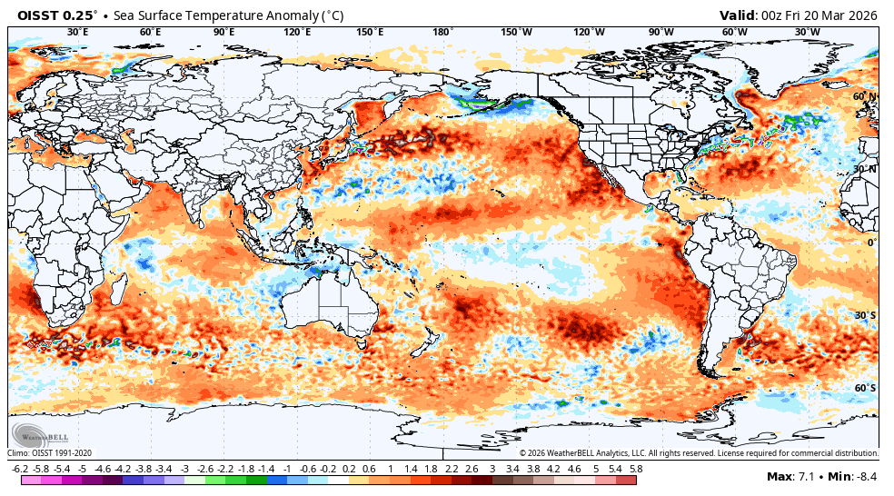 The American Storm tweet media