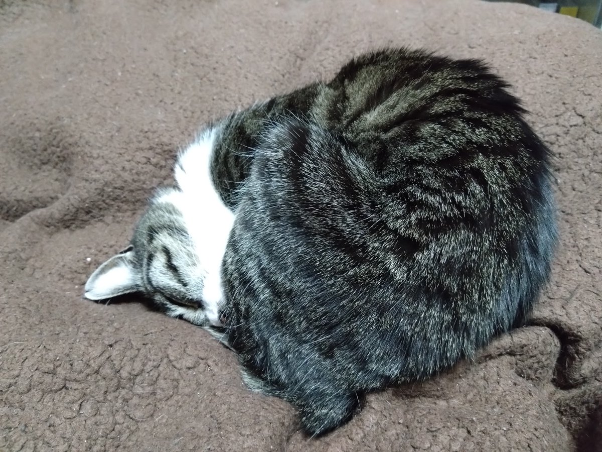 東毛電鉄（とうもうでんてつ）@猫好きレトロゲーマー tweet media