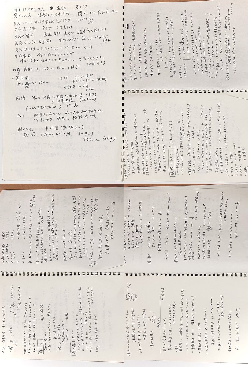 青 🌶️ tweet media