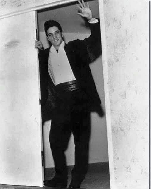 Ginger 🌷🍄 🌈🌷🩷🦋🐞💚🥀🪻🐝🌈🌷🩵 tweet media