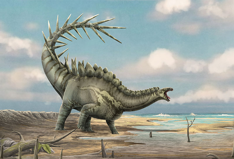 Hildoceras🇵🇸 tweet media