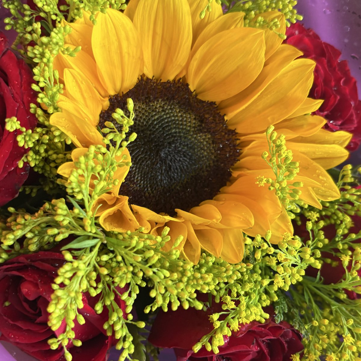 𝐠𝐮𝐚𝐝𝐚 tweet media