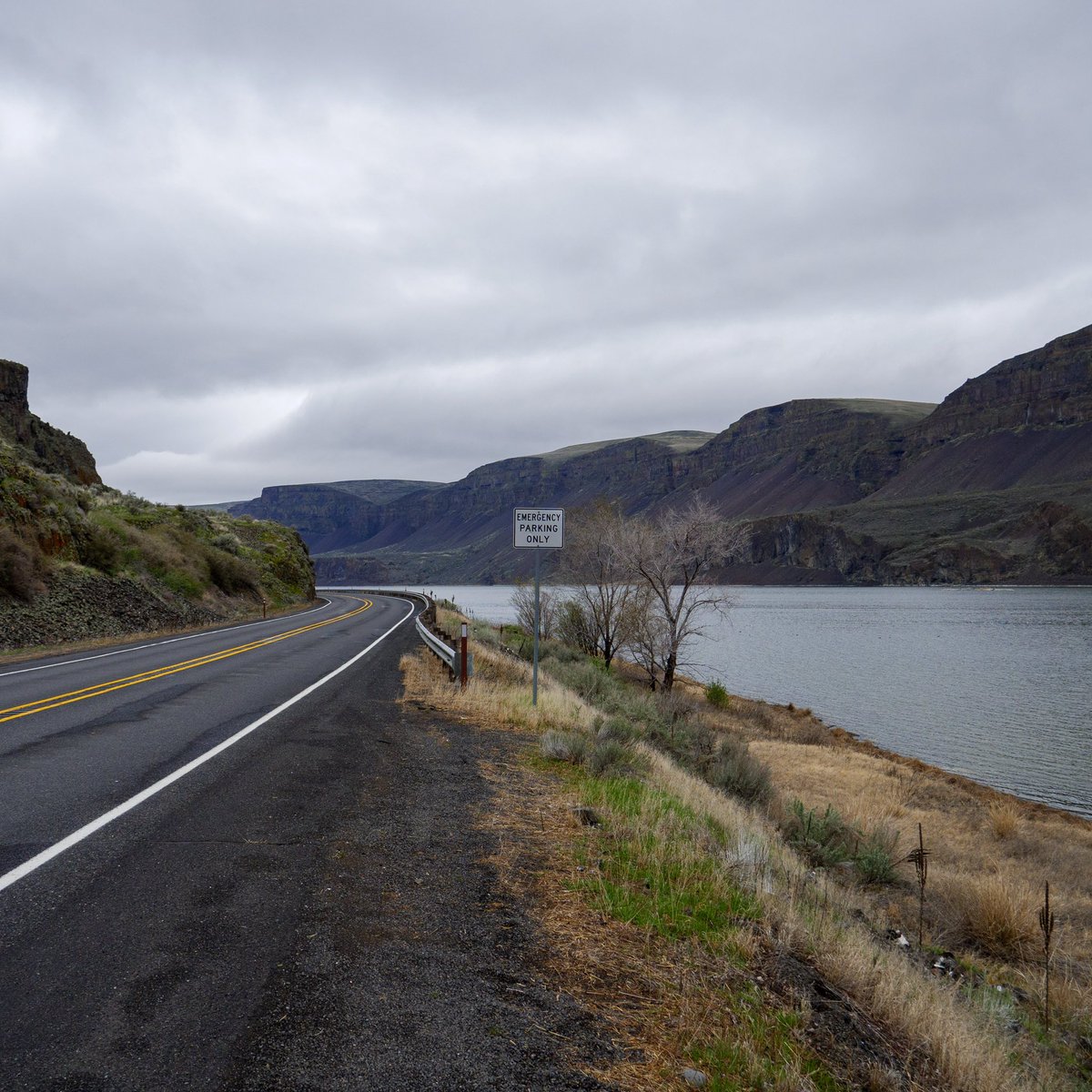 Unstill Life 📸 tweet media