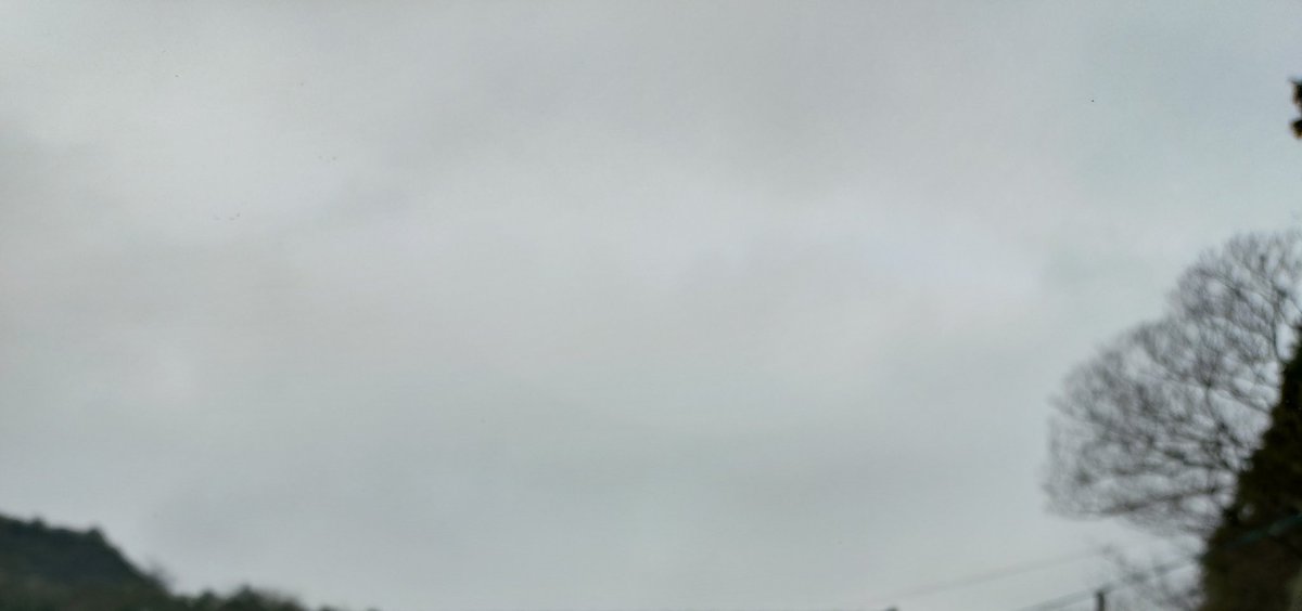 うめこ tweet media