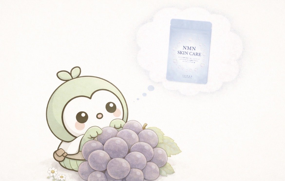 ふーちゃん｜JURARサプリ公式【フラメル】 tweet media