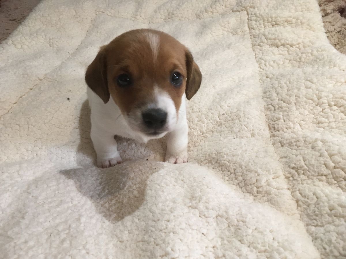 Colin Sick tweet media