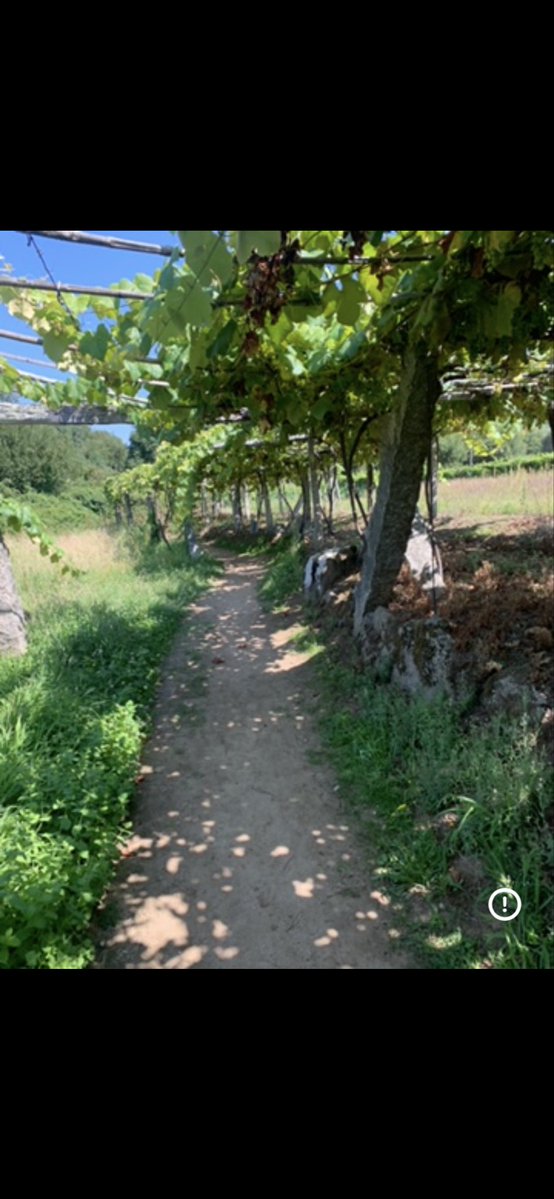 Alberto Alvarez tweet media