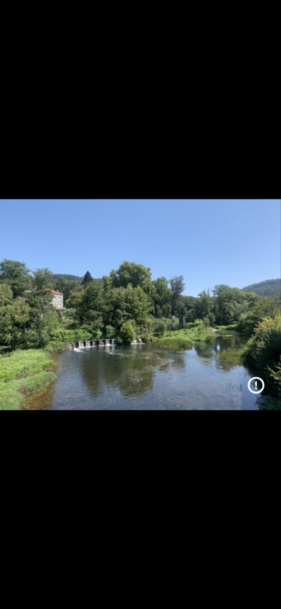 Alberto Alvarez tweet media