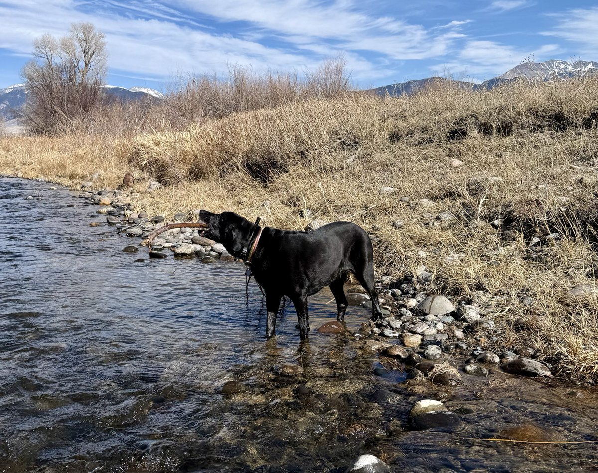 Flyfishinryan tweet media