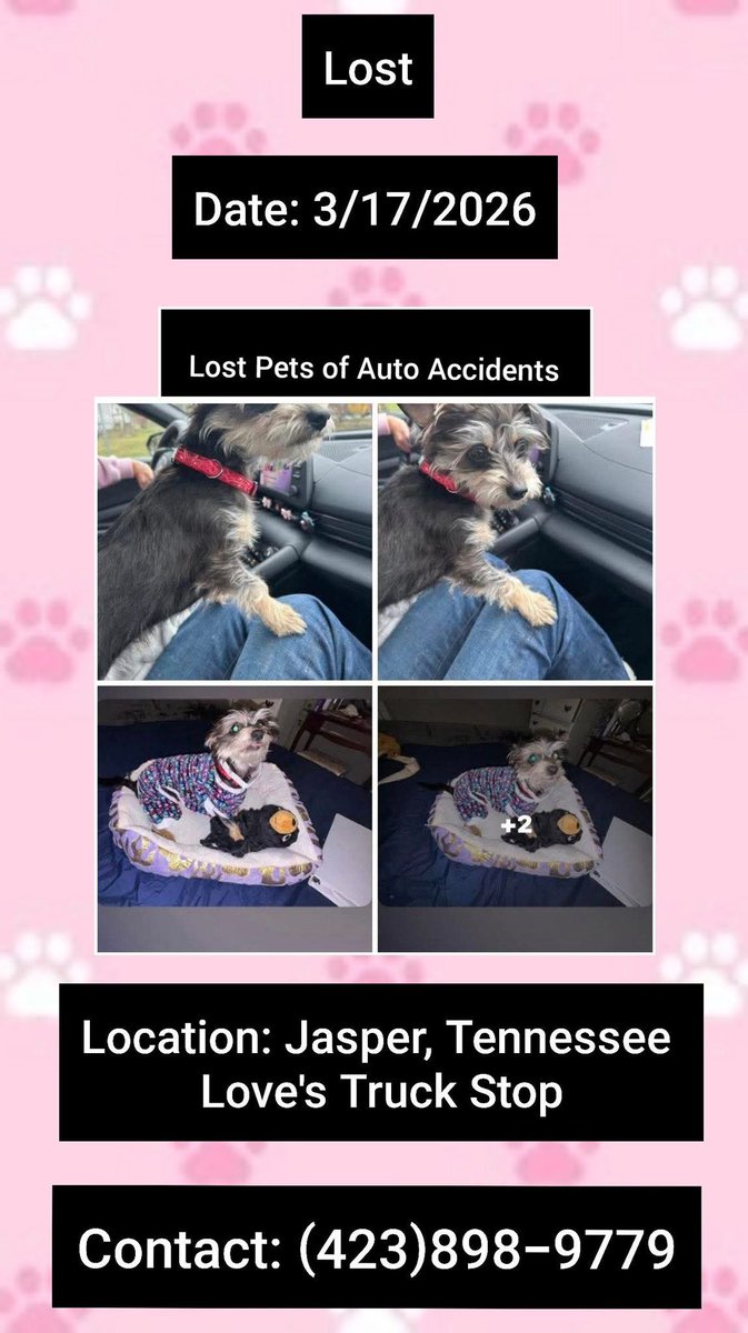 Christine J Arepaki tweet media