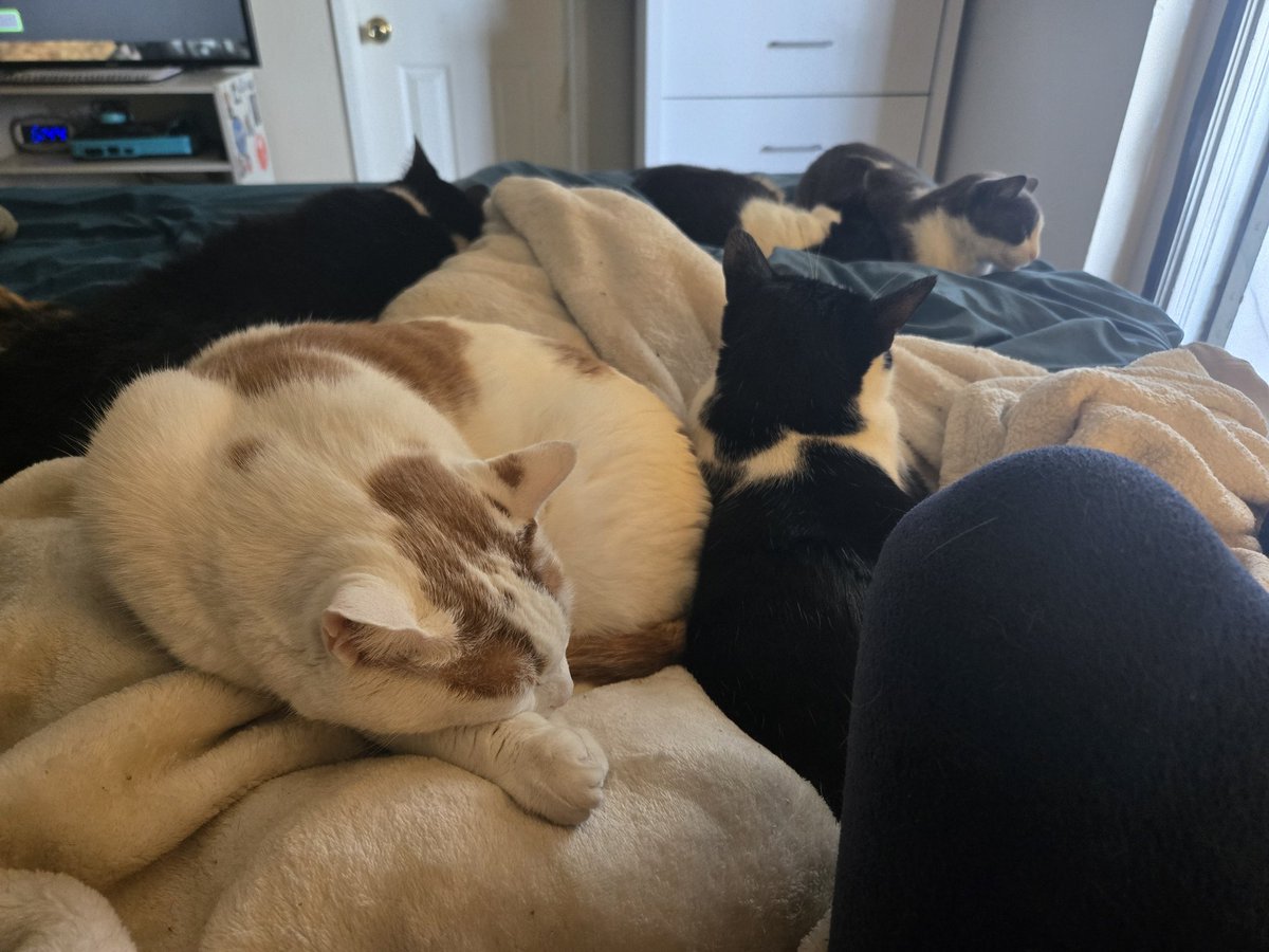 Jesska Pizzle tweet media