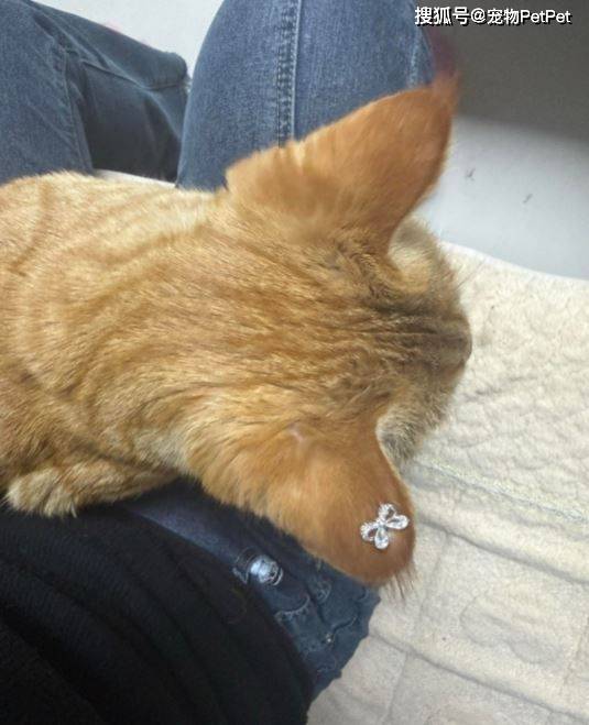 MARIA JOSE CARRO tweet media