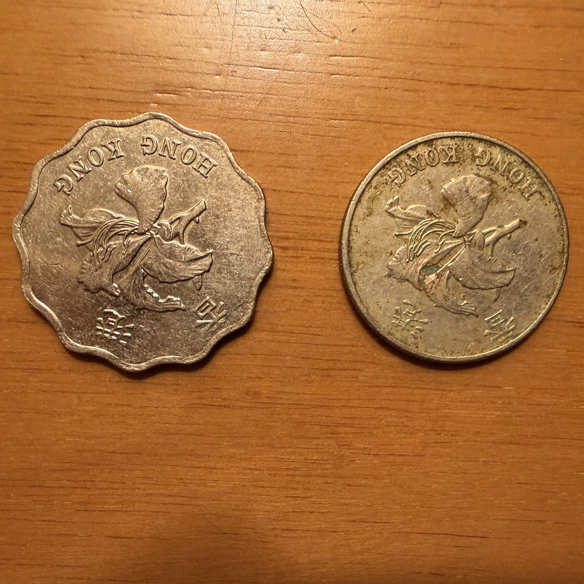 Diego L. L. tweet media