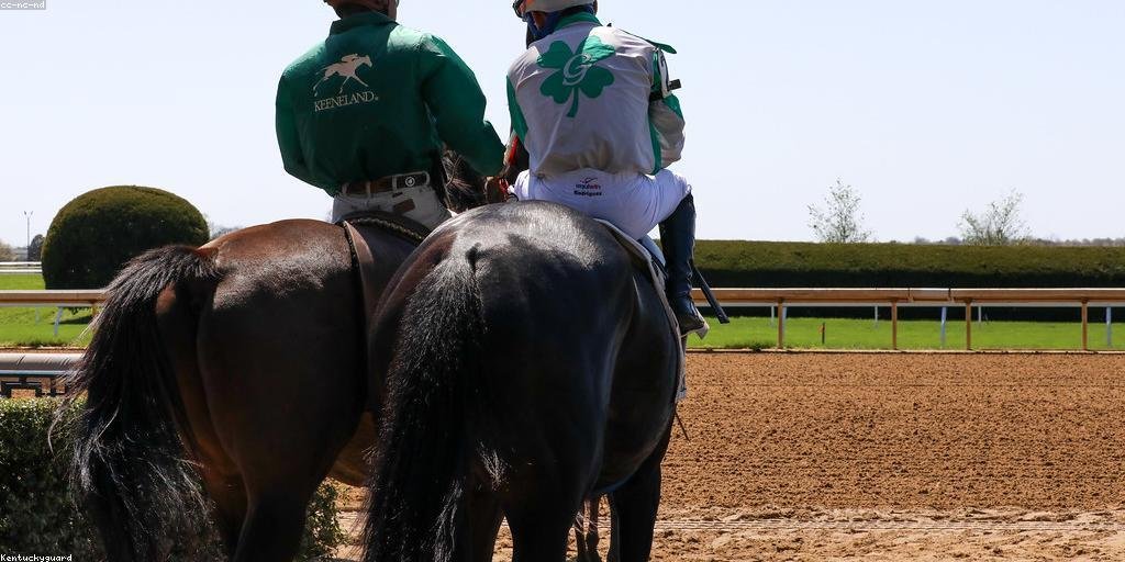 High Octane Racing 🔥🌹 tweet media