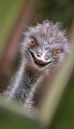 Garbitch tweet media