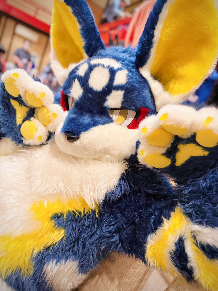 バイオ前線 tweet media