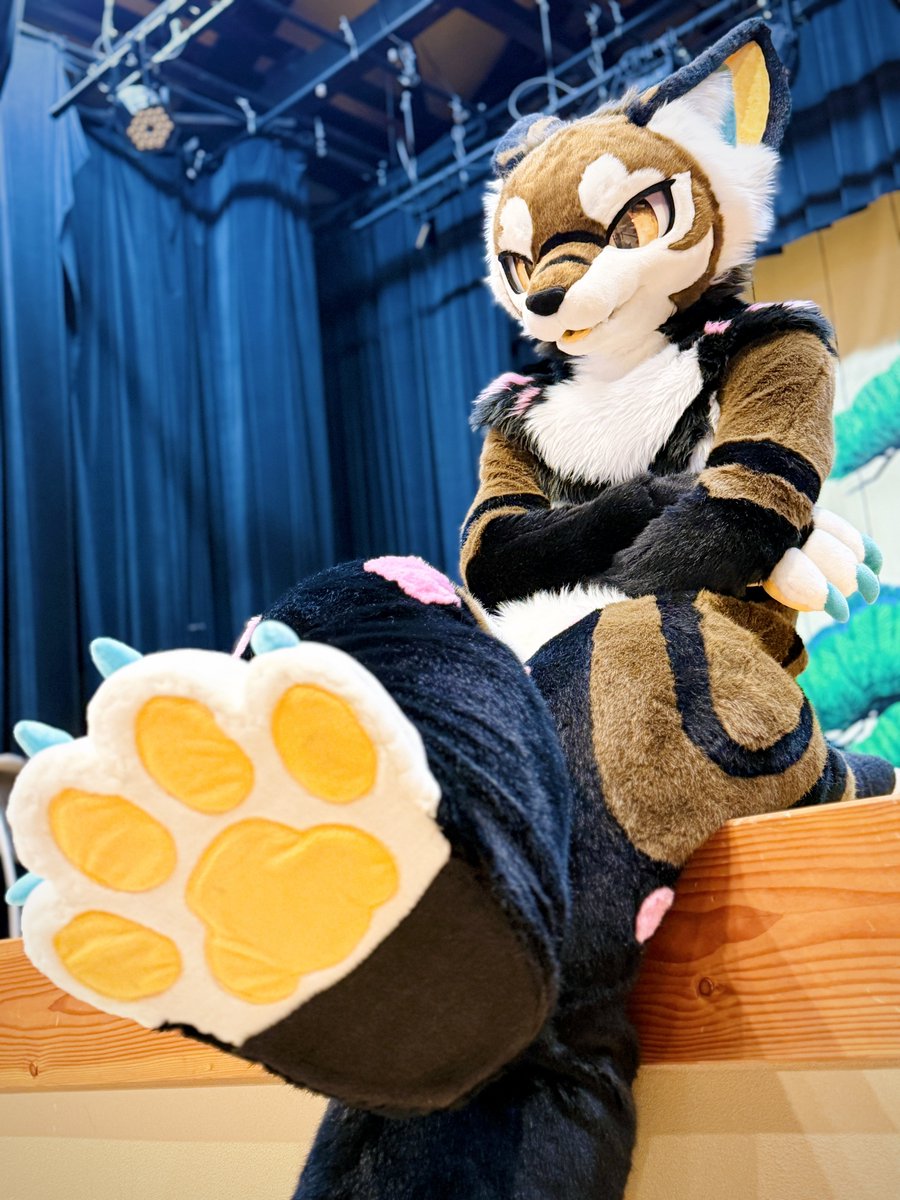 バイオ前線 tweet media