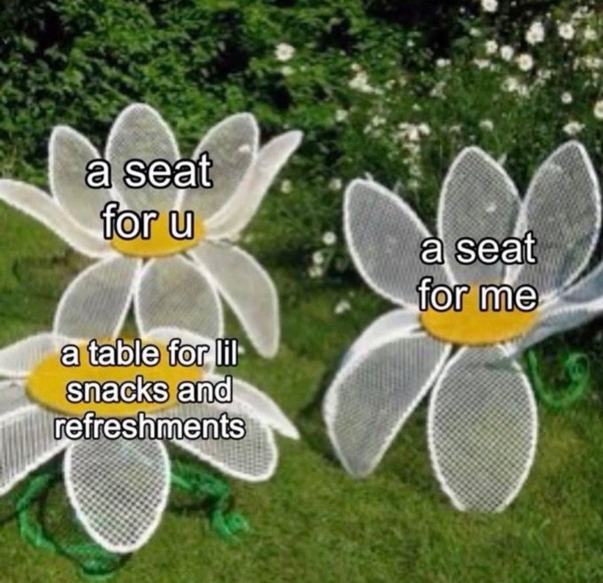 Respectful Memes tweet media