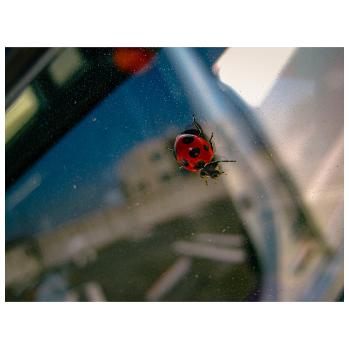 cameralenstalk's tweet photo. New Post 📸

https://t.co/luy1930S0a

Finding Joy in the Unexpected Through Photography with the Canon PowerShot A480 ✨

#PhotographyLovers
#PhotoOfTheDay
#CameraGear
#StreetPhotography
#canon 
#ExploreWithCamera https://t.co/pXZKawJmi3
