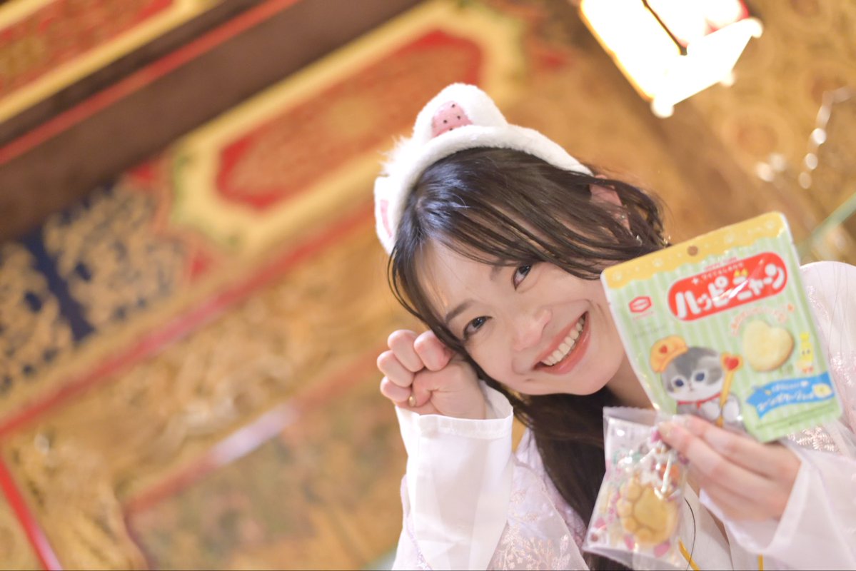 まみ🐈🐾🐈‍⬛🐾 tweet media