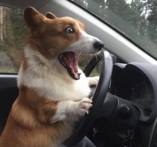 PENDRAGON FX tweet media