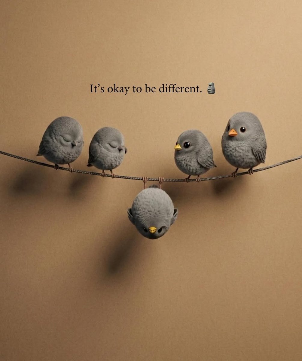 Isabel Legaz-Pérez tweet media