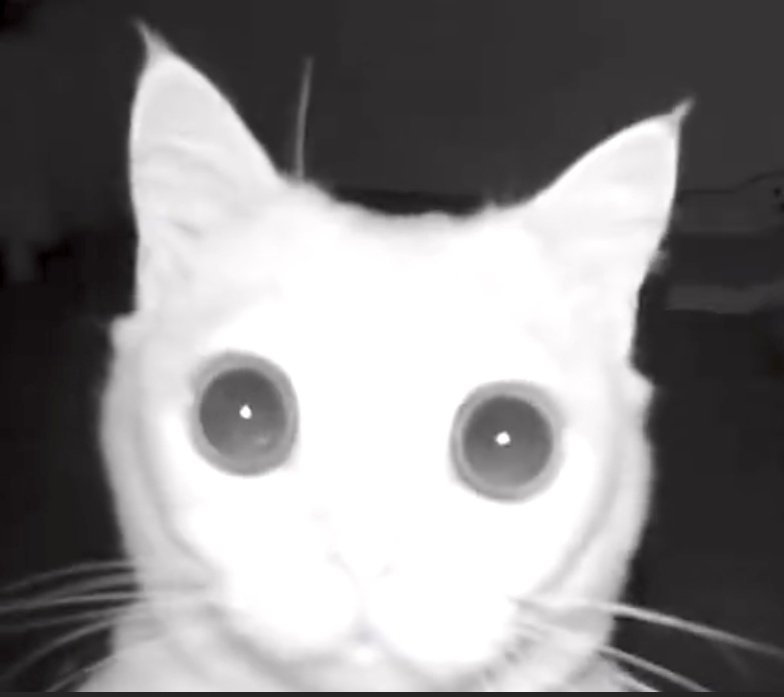 CAT 2.0(MAJOR BALANCE CHANGES) tweet media