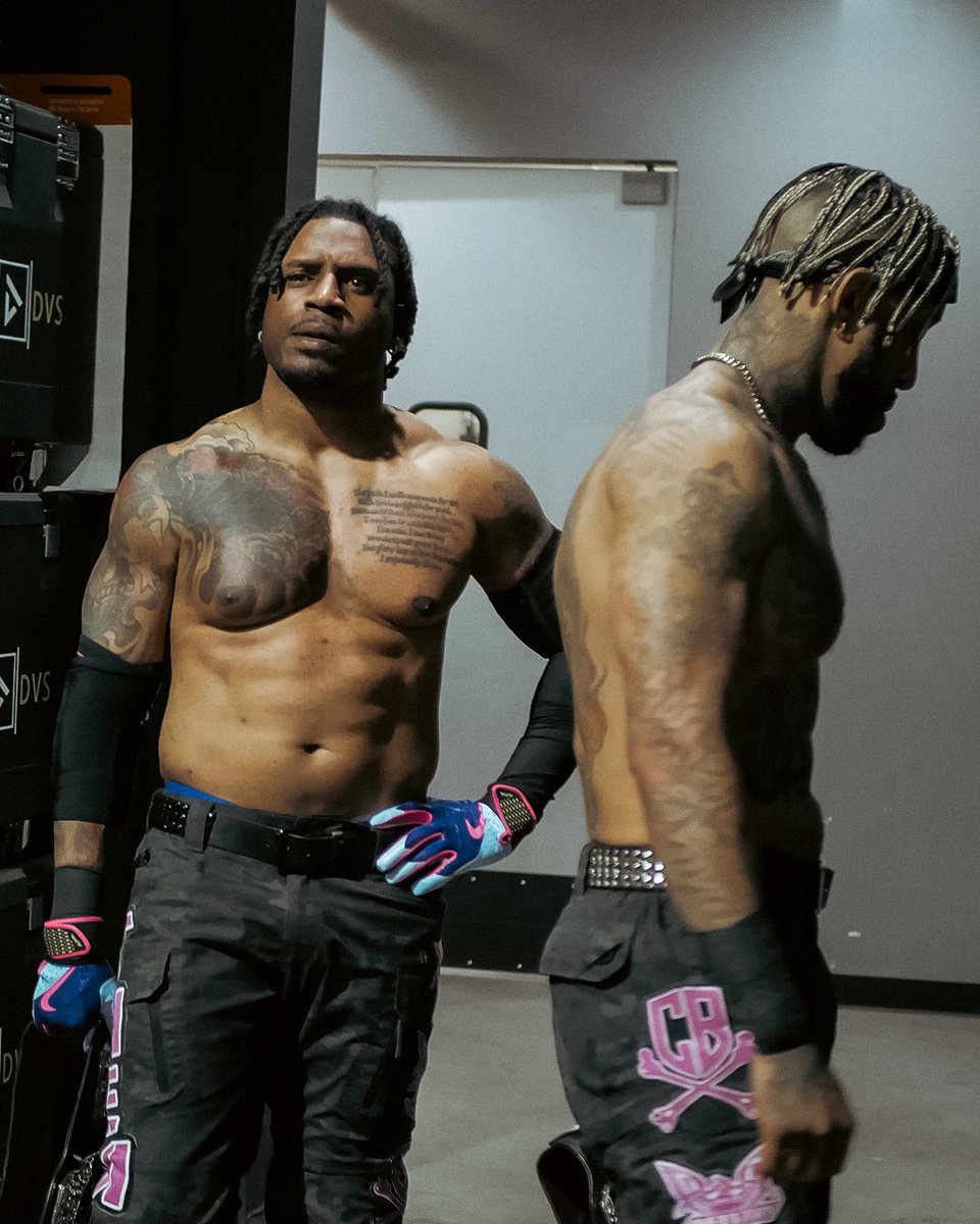 cookiesguy 🍪 tweet media