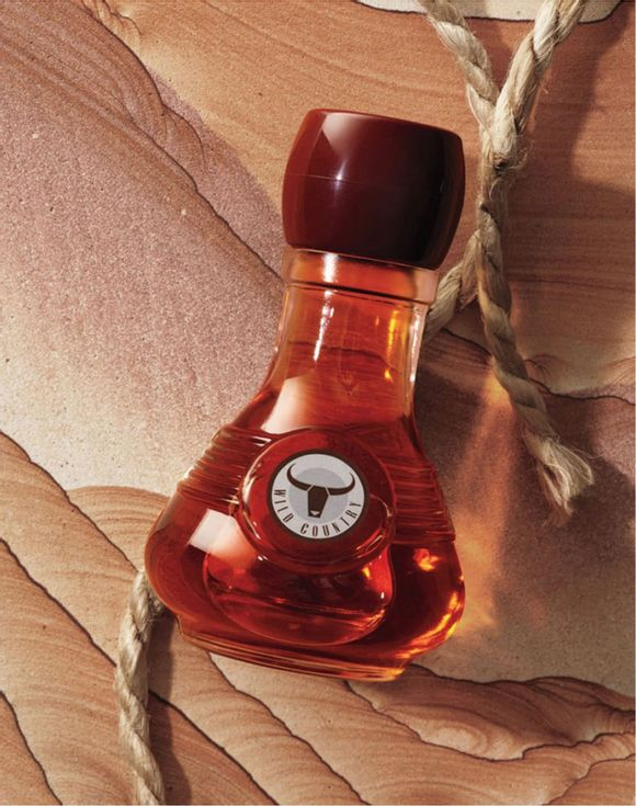 FaeryLover's tweet photo. Check out Wild Country Aftershave Splash via @AvonInsider https://t.co/Dssw4RhOKY https://t.co/C9bYQT18xA