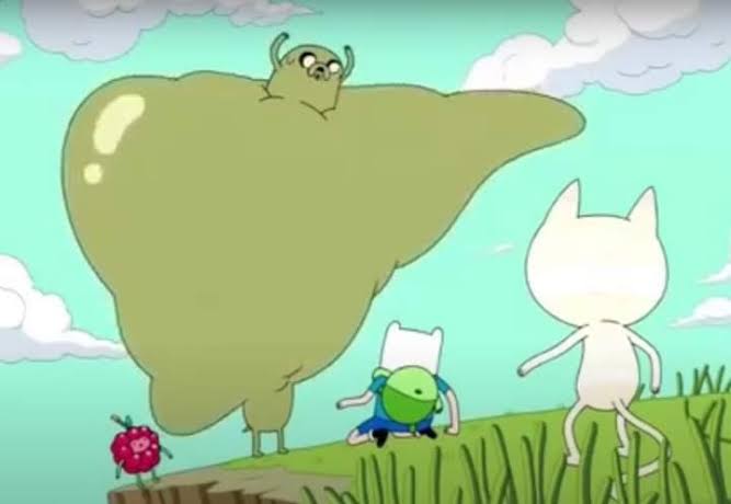 FireDream 🧉 tweet media