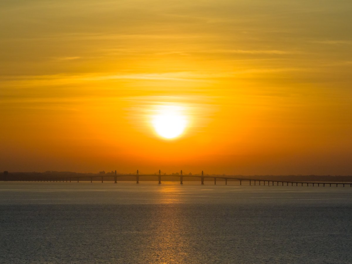 Lisa Nguyen tweet media