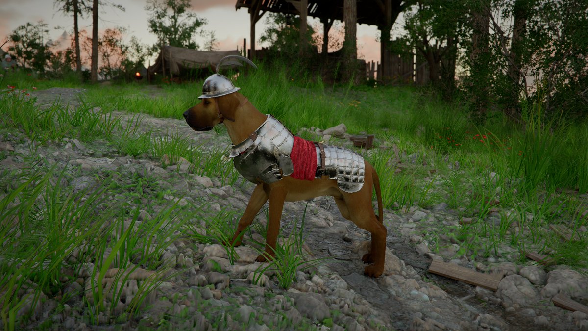 Matola - 🎮 Crimson Desert ⚔️🐎 tweet media