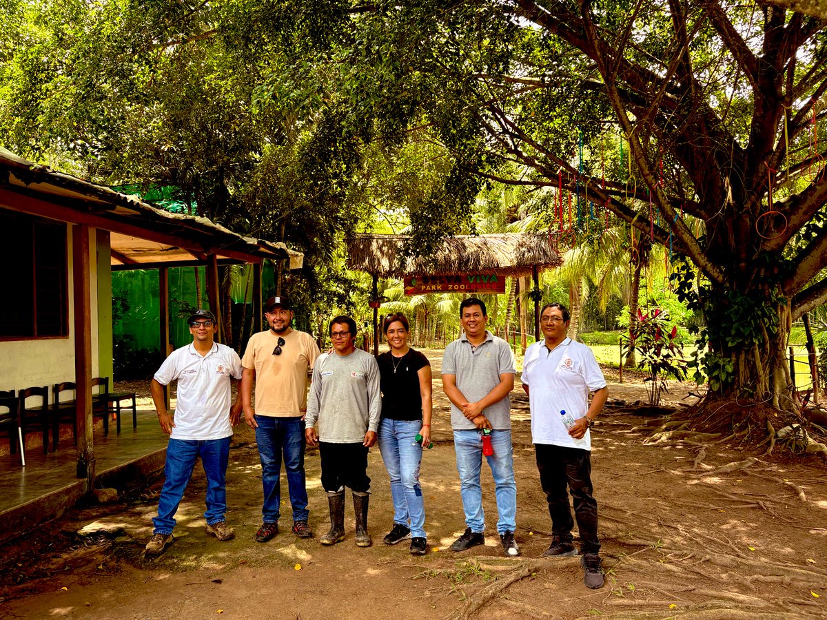 Sada Goray Oficial tweet media