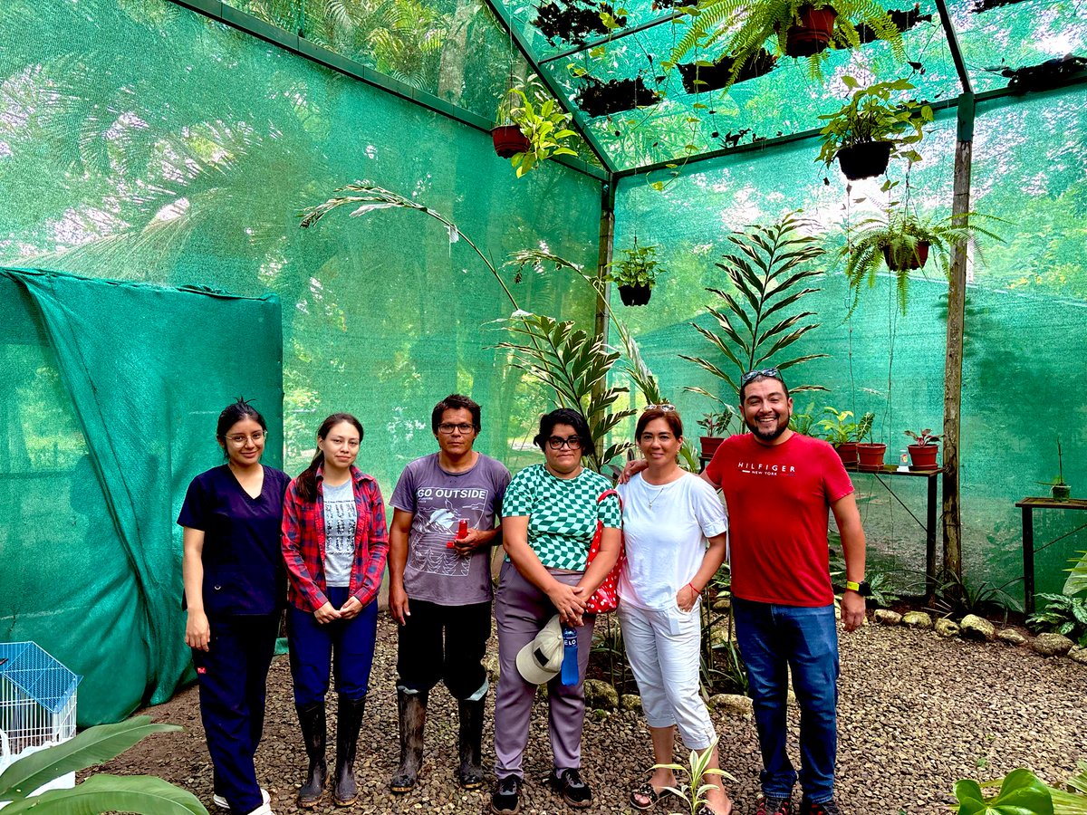 Sada Goray Oficial tweet media