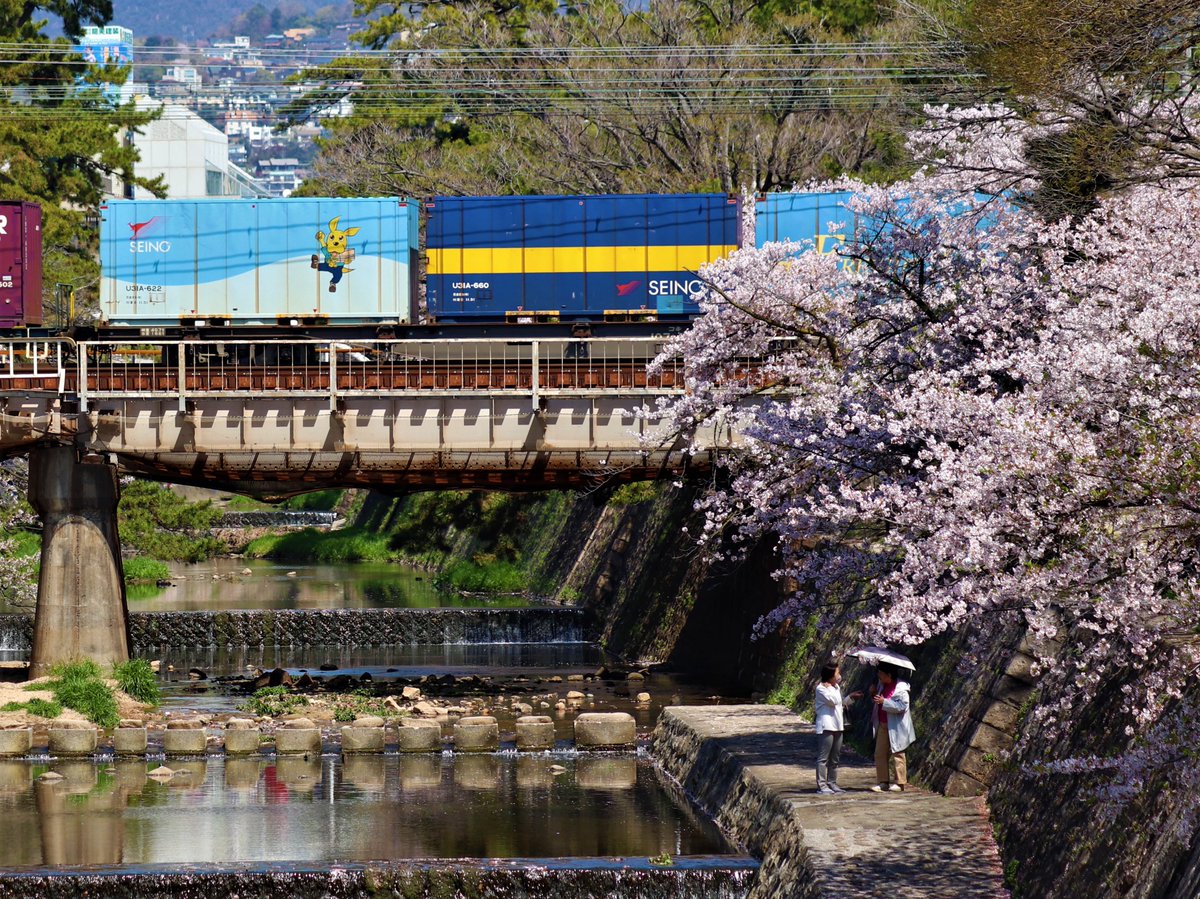 西濃運輸【公式】 tweet media