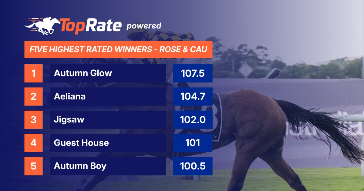 Daniel O'Sullivan tweet media