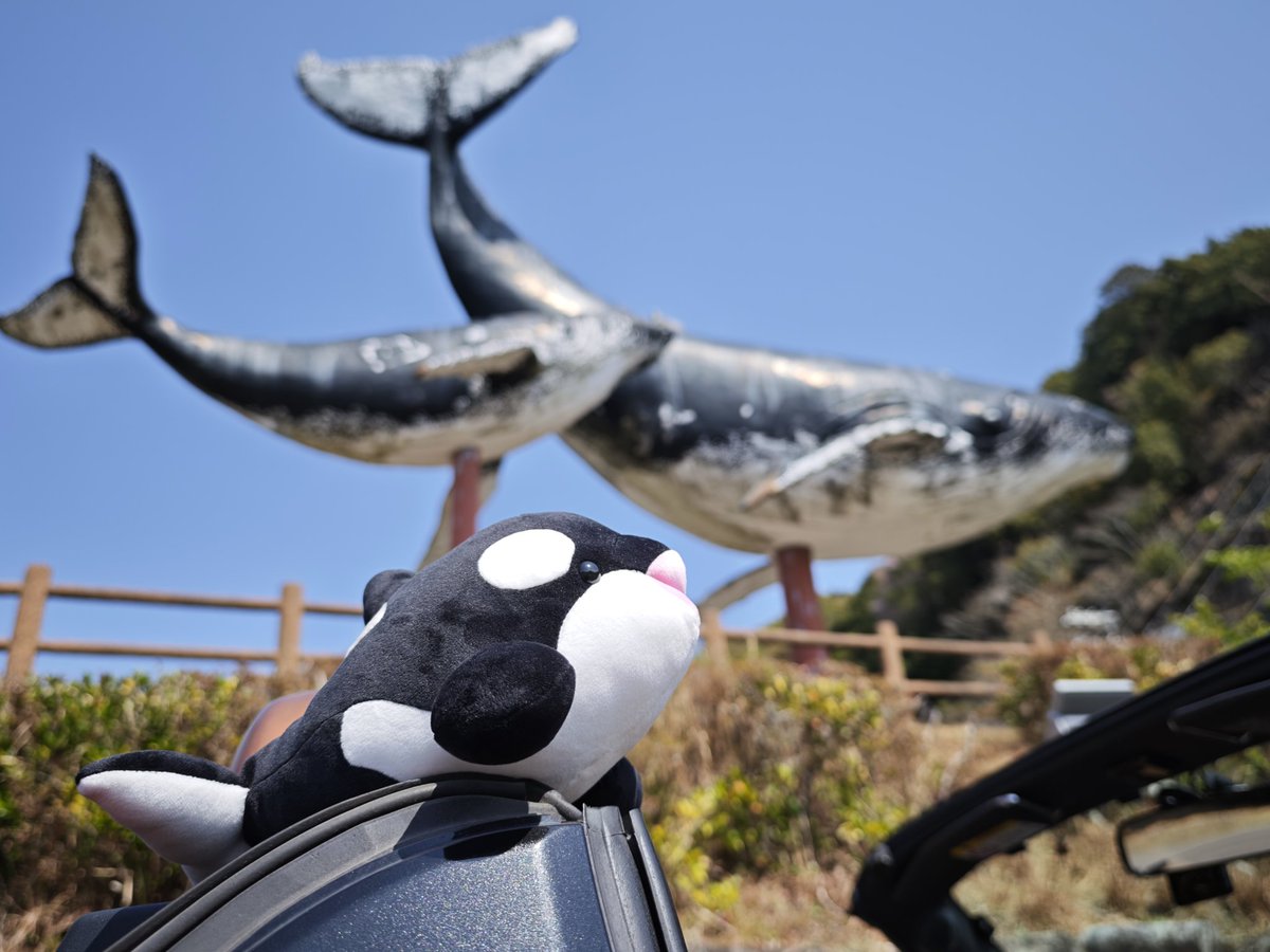 〜Natukage〜 tweet media