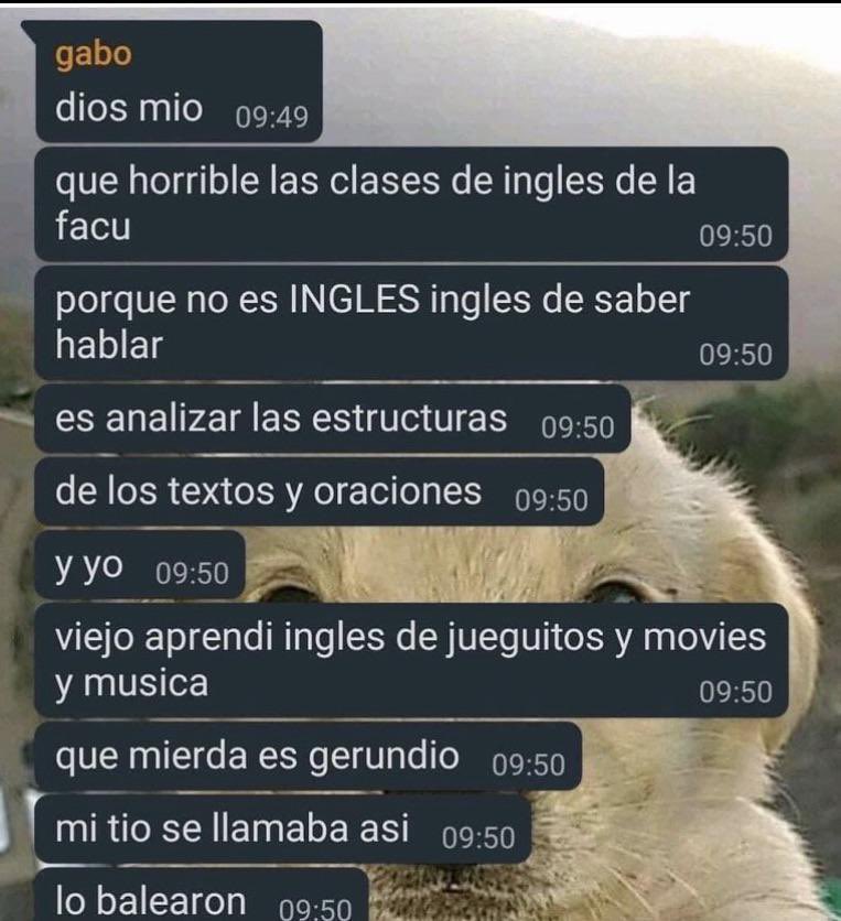 Memakker tweet media