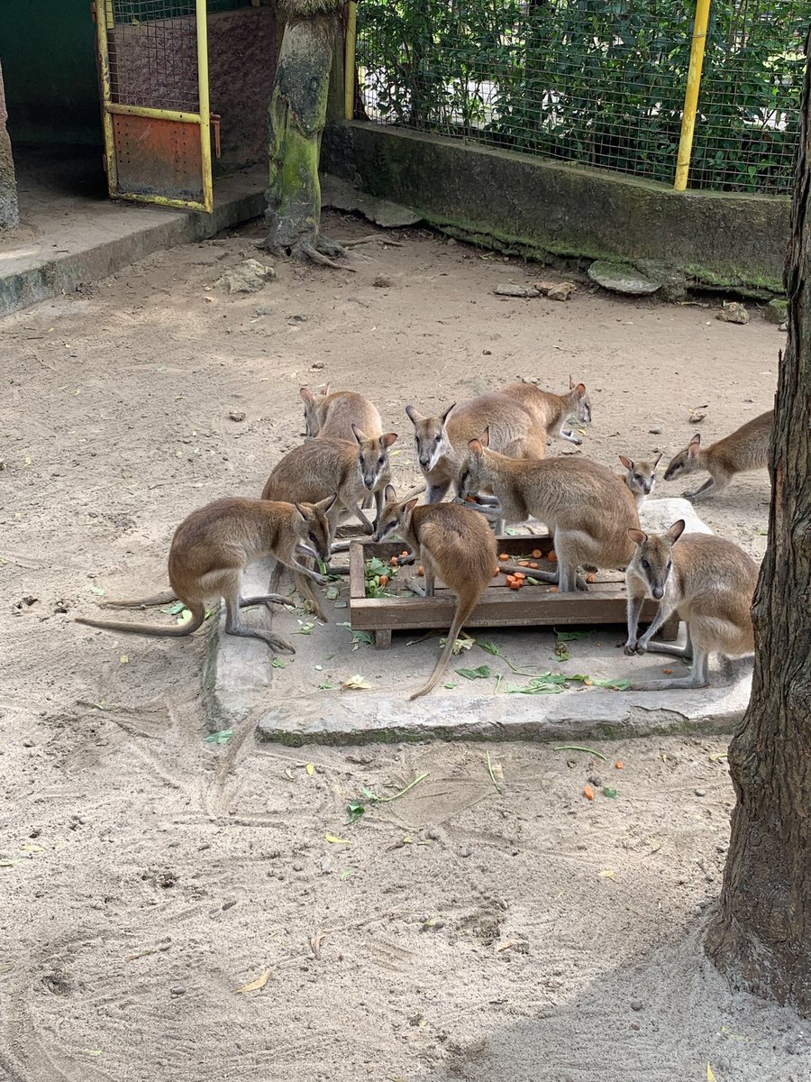 ramamount 🏞️ tweet media