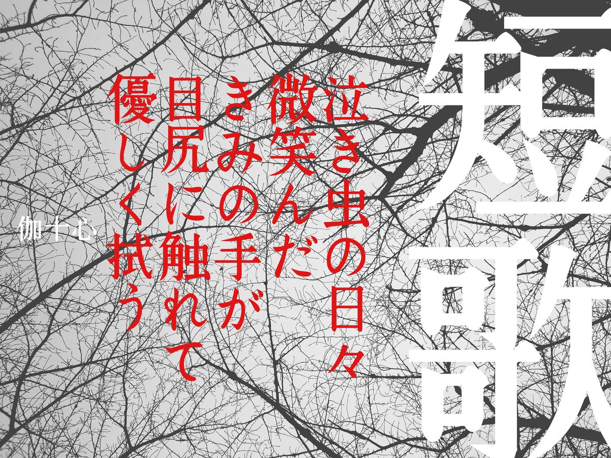 伽十心■毎月13日小説「十三段目の踊り場」投稿 tweet media
