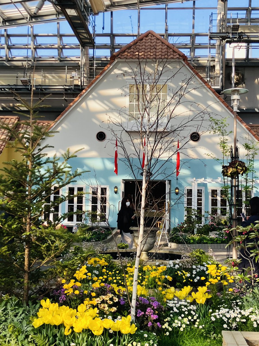 【公式】夕焼けルビー🥤✨ tweet media