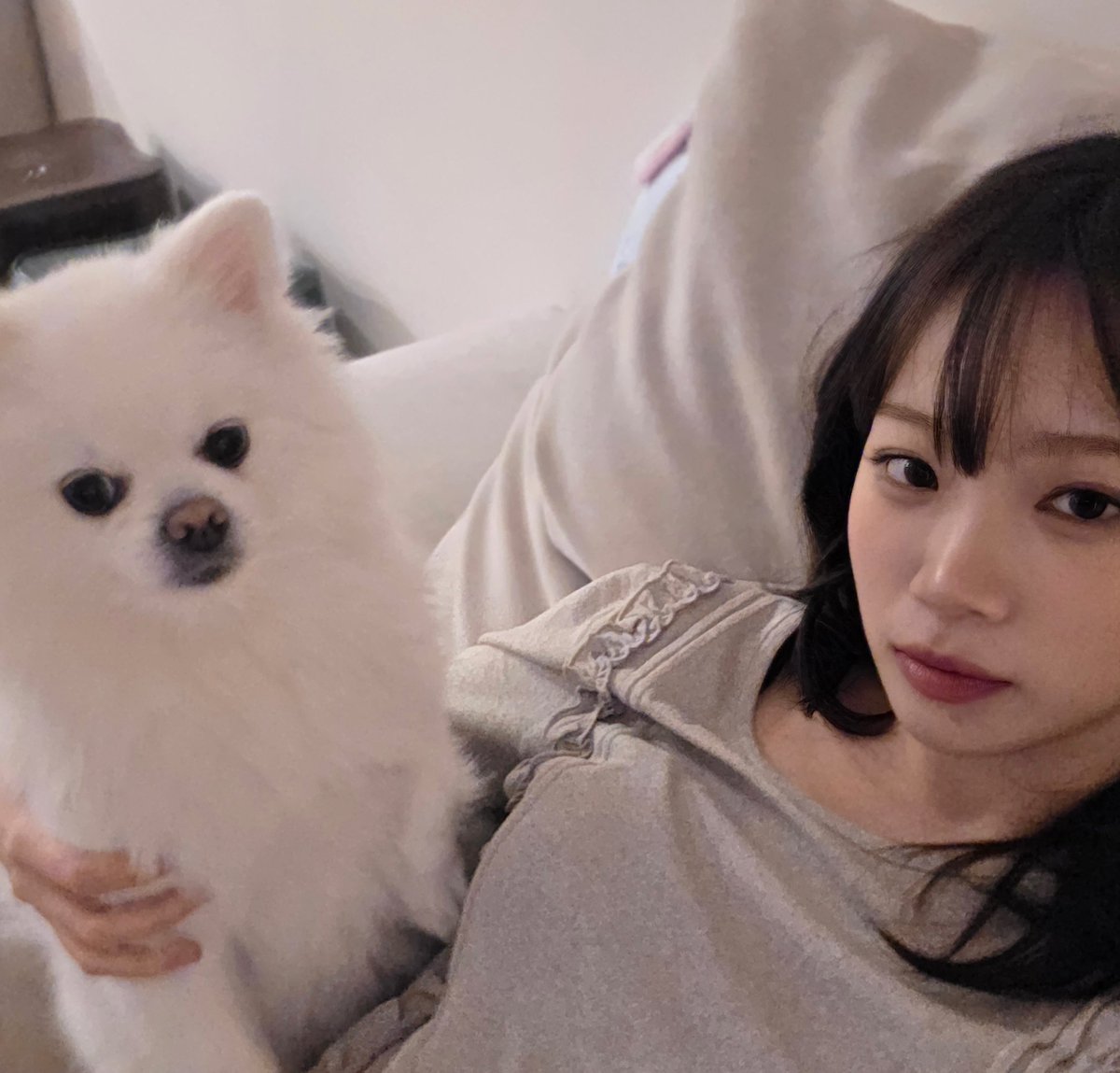 푸덤덤.. tweet media