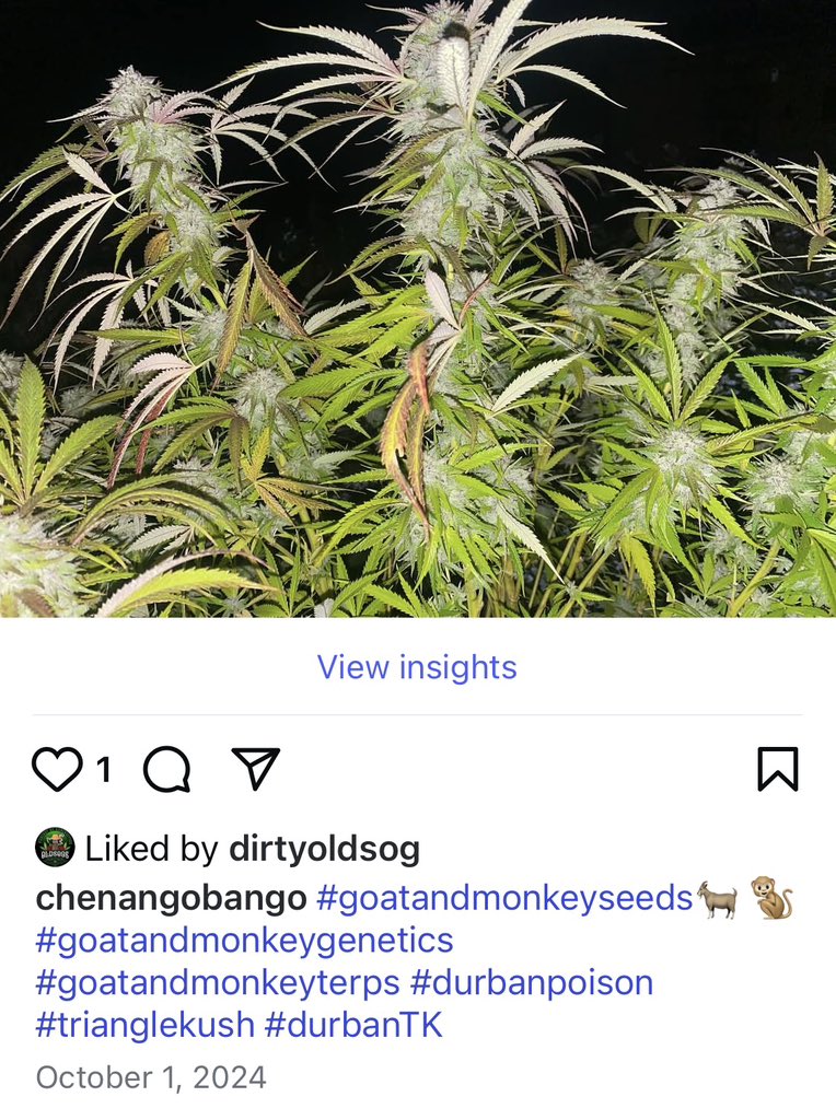 John Nixon tweet media