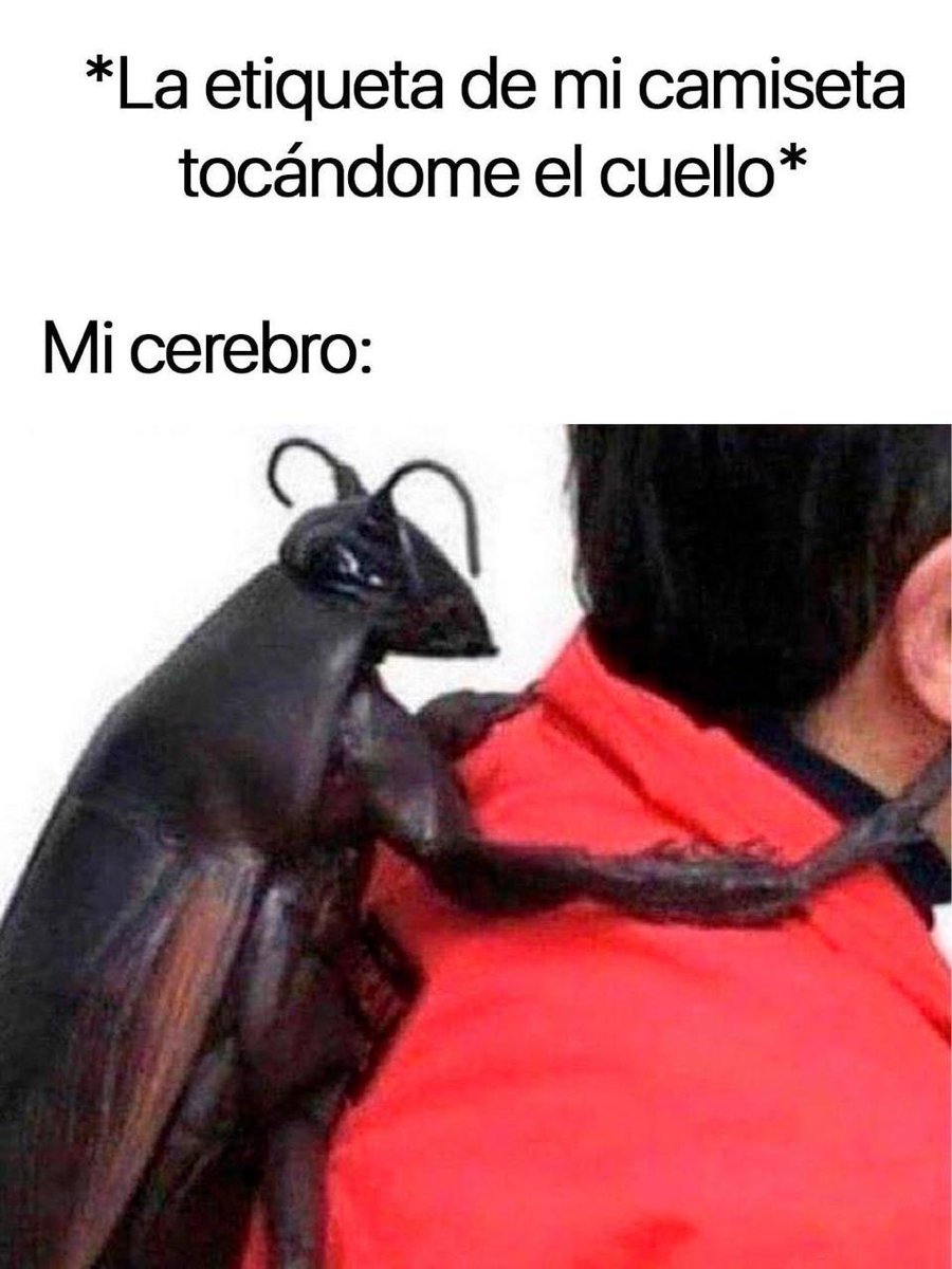 Tadeo Cámara 🐦 tweet media