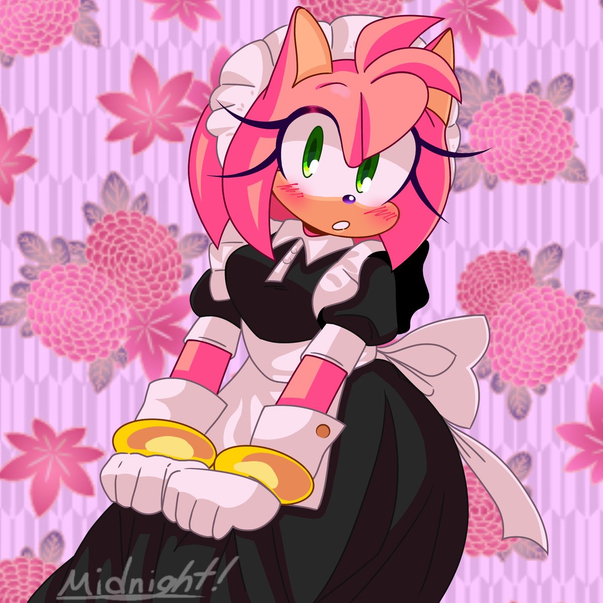 🌟Midnight!/SONIC MOVIE 4 HYPE!✨️ tweet media