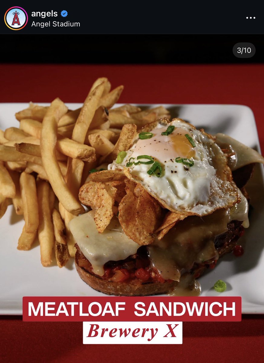 halo honk miah tweet media