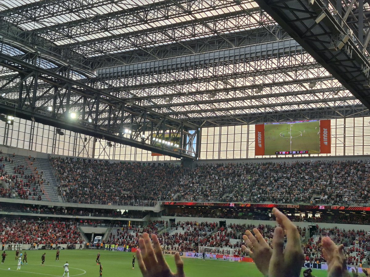 Observador tweet media