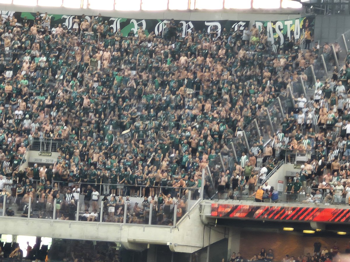 Observador tweet media